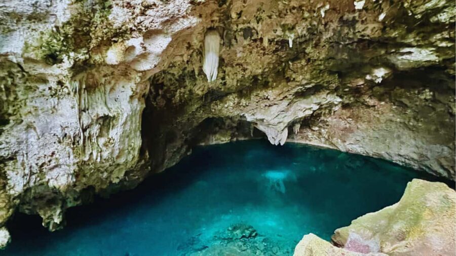 Punta Cana: Experience the essence of Santo Domingo with lunch and the Colonial Zone - The guide factor: what “good guidance” looks like here