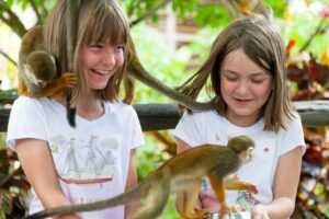 Punta Cana Monkeyland and Zipline Two Adventures in One Day - 12 Zip Lines Through Punta Cana Rainforest Canopy