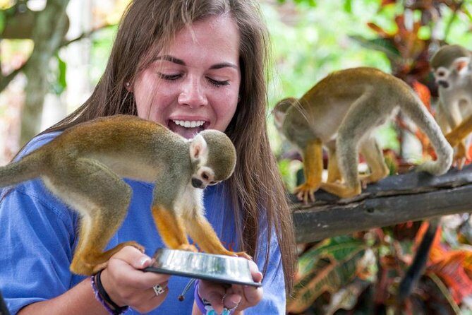 Punta Cana Monkeyland and Zipline Two Adventures in One Day - Coconut House Stop: Dominican Life and Organic Food Production
