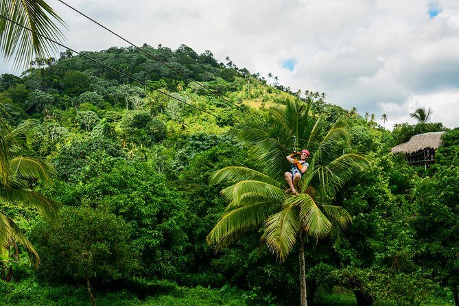 Punta Cana Monkeyland and Zipline Two Adventures in One Day - Timing Tips That Make This Day Trip Smoother