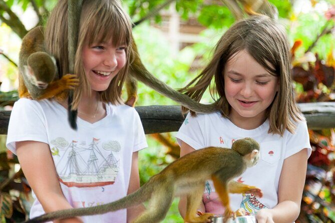 Punta Cana Monkeyland and Zipline Two Adventures in One Day - 12 Zip Lines Through Punta Cana Rainforest Canopy