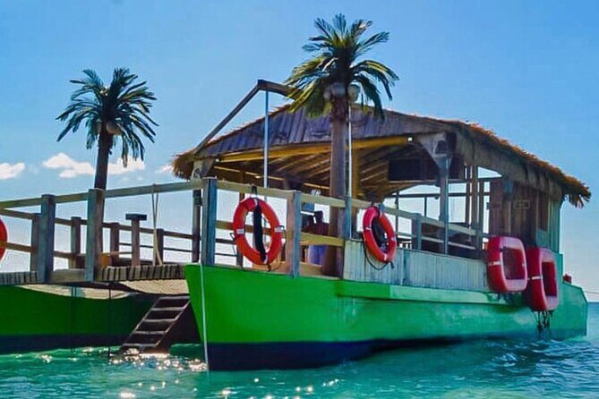 Punta Cana Noahs Ark Party Boat with Open Bar DJ - Key highlights you’ll feel fast