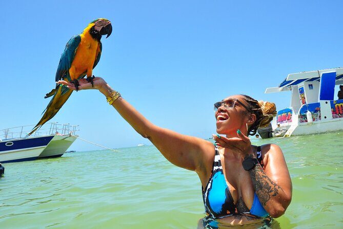 Punta Cana Party Boat Cruise with Snorkeling, Open Bar & Hip Hop - Snacks and drink setup: keeping your energy up without lunch