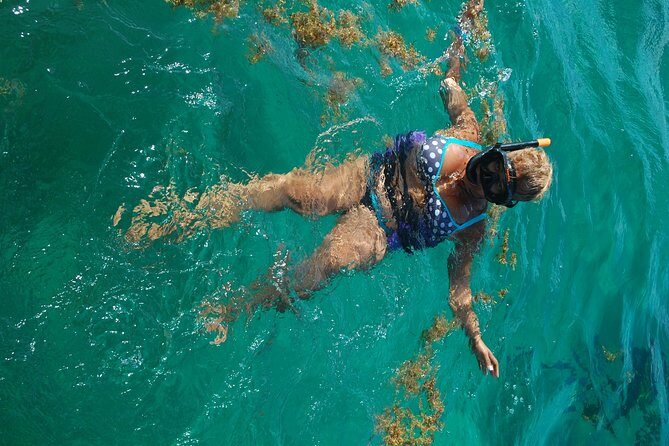 Punta Cana Party Boat:open bar - Wildlife Views Back on the Water and the Natural Pool Finale