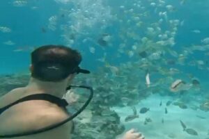 Punta Cana Party Cruise with Snorkeling, Hooka Diving and Parasailing - Party on the Water: Music, Fruit, and Unlimited Drinks