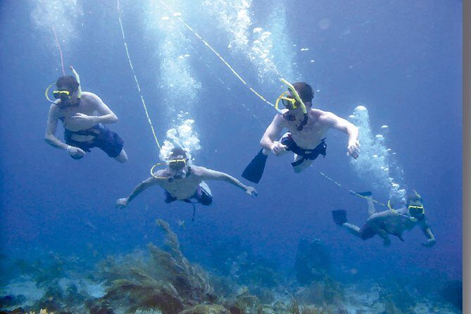 Punta Cana Party Cruise with Snorkeling, Hooka Diving and Parasailing - Parasailing Over Bavaro: The Lift-Off, the Wait, and the Dips