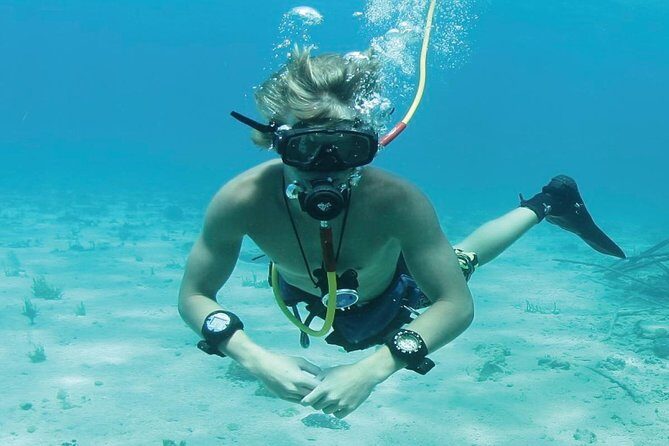 Punta Cana Party Cruise with Snorkeling, Hooka Diving and Parasailing - Price and Value: Does $140 Buy Real Bang for Your Afternoon?