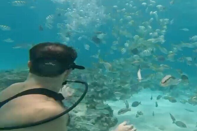 Punta Cana Party Cruise with Snorkeling, Hooka Diving and Parasailing - Party on the Water: Music, Fruit, and Unlimited Drinks