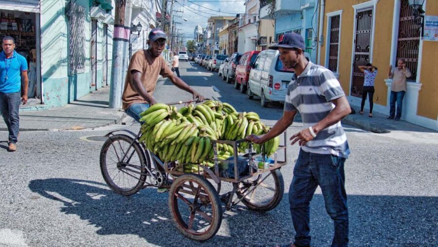 Punta Cana: Santo Domingo City Tour with Lunch - The guide and the day-to-day feel