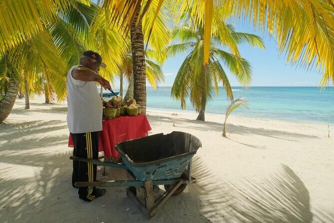 Punta Cana: Saona Island Catamaran Open Bar / Food Hotel Pickup - Buffet Lunch with Dominican Food: What to Expect and How to Plan