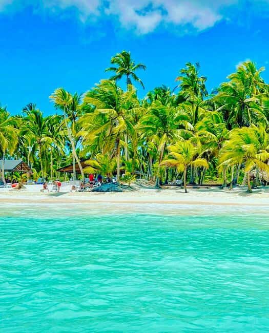 Punta Cana: Saona Island VIP | Private Beach, Open Bar & Lunch - Natural Pool: The Iconic Stop (and Why Timing Matters)