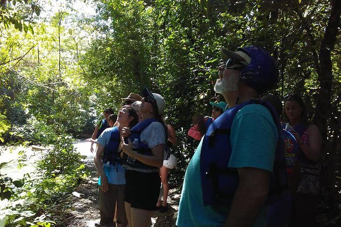 Rainforest Trek to Natural Pool - Taino Bay & Amber Cove ports - Damajagua Waterfalls: a cruise-day eco-tour with real payoff