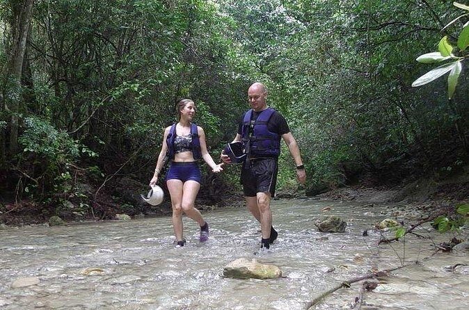 Rainforest Trek to Natural Pool - Taino Bay & Amber Cove ports - The guide makes the day: the names you might hear