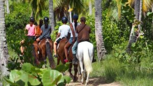 Ride Horses on the Beach - Meeting Your Horse: Safety Briefing and Real Beginner Support