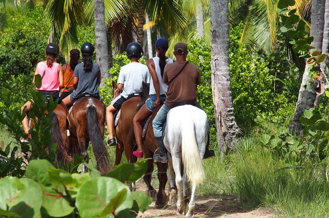 Ride Horses on the Beach - Price and Value: Is $79 Worth 3–4 Hours With Transportation?