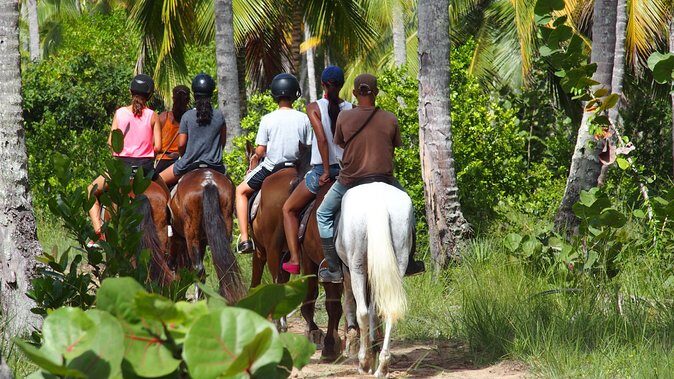 Ride Horses on the Beach - Meeting Your Horse: Safety Briefing and Real Beginner Support