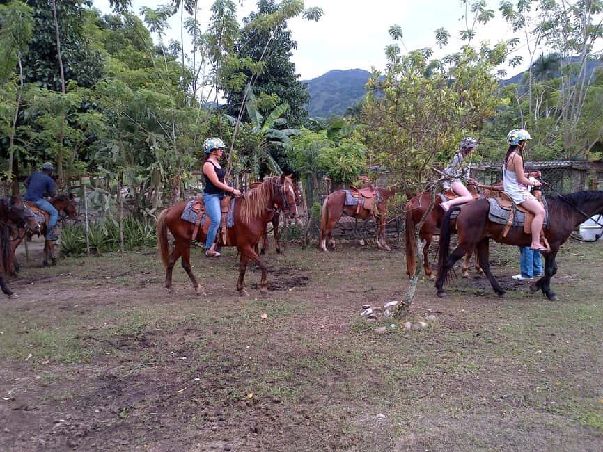 Ride N Zip Adventure in Puerto Plata - From Puerto Plata to Country World Ranch: the part you’ll notice first