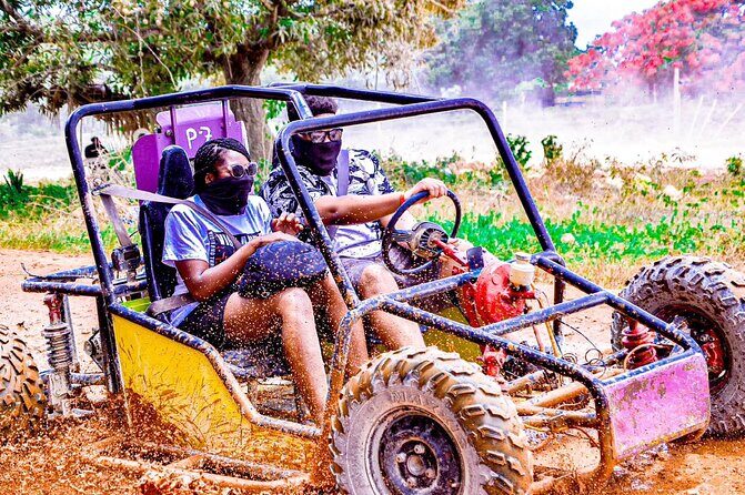 Road Off Half Day Buggy with Chocolate and Coffee Tasting - Key highlights you’ll care about