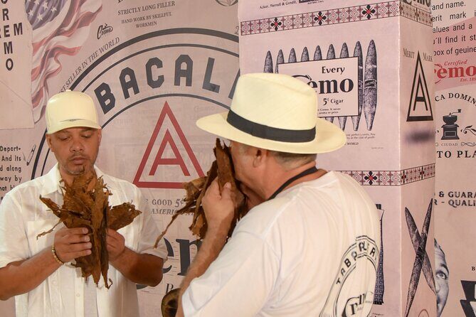 Roll your Own Cigar in Puerto Plata - Welcome Drink, Free Cremo Cigar, and the Tobacco Aroma Lesson
