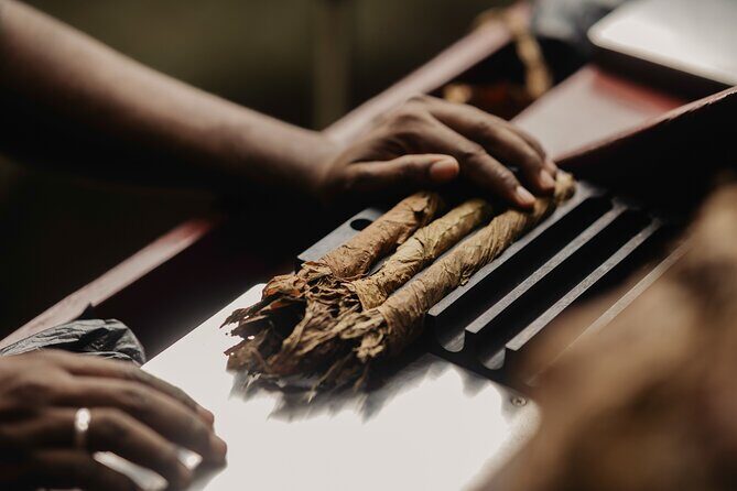 Roll your Own Cigar in Puerto Plata - Rolling Your Own Cigar: Cutting, Filling, and Getting the Shape Right