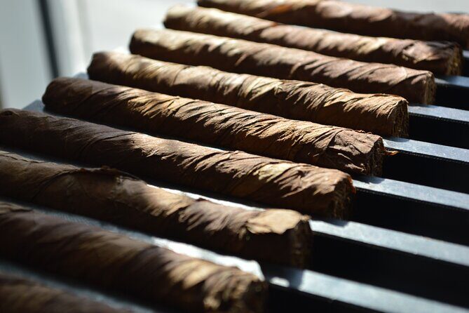 Roll your Own Cigar in Puerto Plata - The Cutting and Lighting Tips You’ll Actually Use