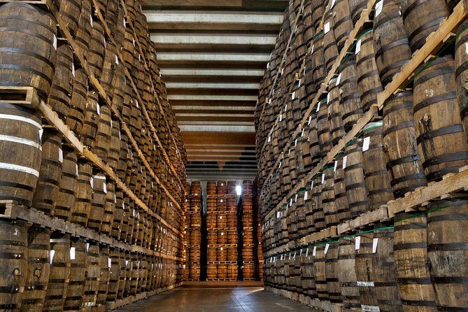 Ron Barcelo Anejo Experience Factory Tour - Getting to Centro Historico Ron Barcelo without wasting time