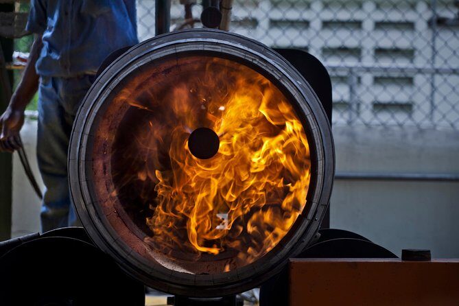 Ron Barcelo Anejo Experience Factory Tour - Best times and group size: what the pace feels like