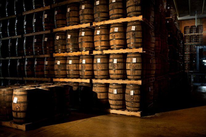 Ron Barcelo Anejo Experience Factory Tour - Who should book this tour (and who might skip)