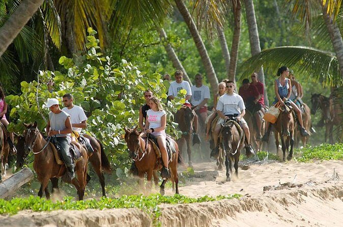 Samana + Cayo Levantado + Horseback Riding from Punta Cana with Lunch - Mobile ticket and day-of flow: keep it simple, stay ready