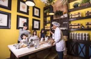 Santo Domingo: Chocolate Tour + Optional Workshops - Entering the Holographic Theater: Chocolate’s Origin Story in Minutes
