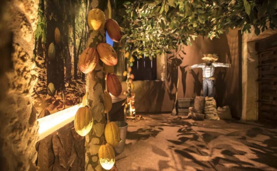 Santo Domingo: Chocolate Tour + Optional Workshops - Price and Value: How $21 Stacks Up for a Short, Interactive Tour