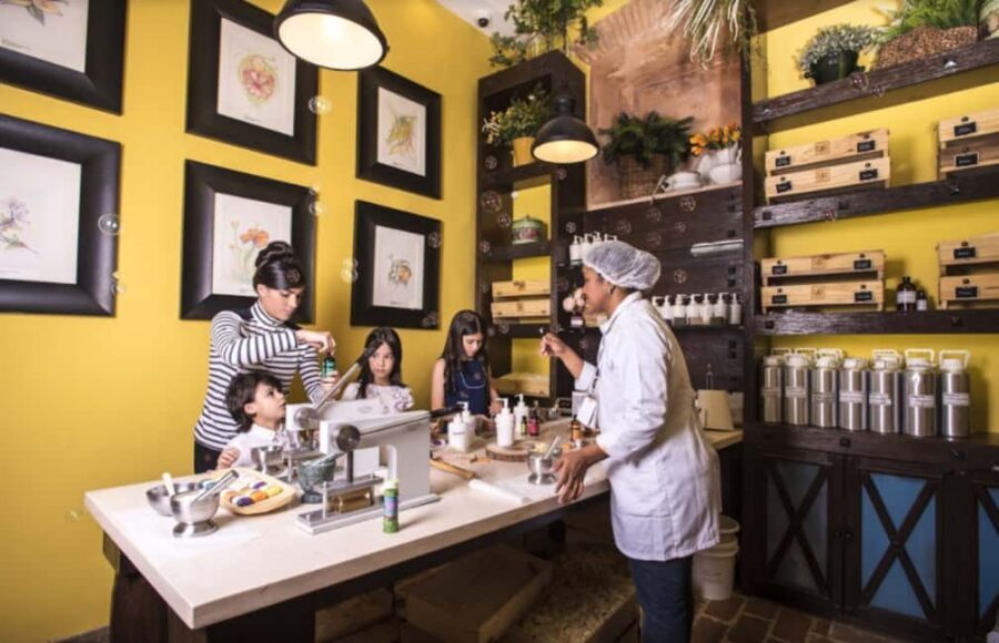 Santo Domingo: Chocolate Tour + Optional Workshops - Entering the Holographic Theater: Chocolate’s Origin Story in Minutes