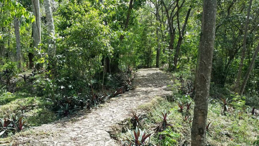 Santo Domingo: Natural Treasures of the City - Price and Value: When $175 Makes Sense (and When It Might Not)