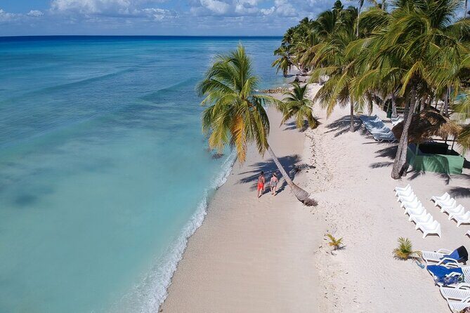 Saona Island Discovery - Key Highlights That Matter