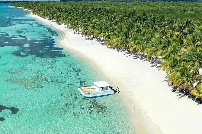Saona Island Discovery - Getting In and Out: How the Punta Cana Stops Shape Your Day