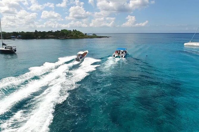 Saona Island Excursion by Catamaran and Speedboat - Arriving on Saona Island: Beach Time, Loungers, and Optional Fun