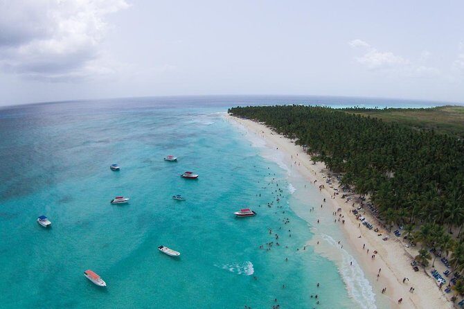 Saona Island Excursion by Catamaran and Speedboat - Lunch and Open Bar: BBQ, Vegetarian Options, and Drink Reality