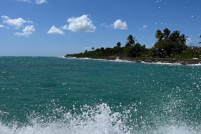 Saona Island for Marella Discovery Passengers from La Romana Port - The main trade-offs: timing, return issues, and kids’ snorkeling fit