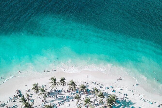 Saona island From Bayahibe - Start at the Port - Catamaran and Speed Boat Transportation: The Trade-Offs Are Real