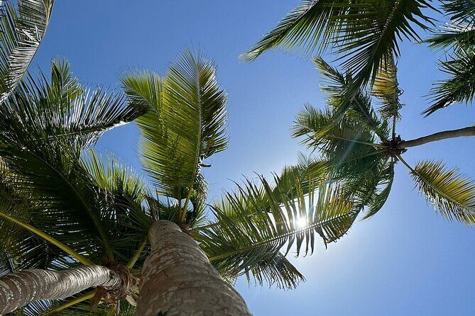Saona Island from Punta Cana - Weather and sea conditions: when Saona looks perfect and when it doesn’t
