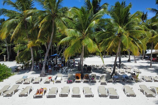 Saona Island: Full-day Catamaran Tour - Small Group - Key highlights that matter