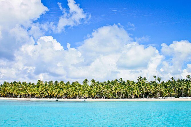 Saona Island Full Day From Punta Cana - Key things I’d plan around