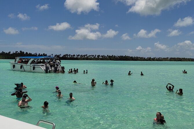 Saona Island Full Day From Punta Cana - Getting to Bayahibe: the morning grind that sets the tone