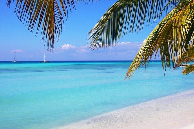 Saona island full day tours - catamarán party from santo domingo - Who this Saona tour fits best