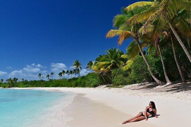 Saona Island, memorable all-inclusive experience, from Santo Domingo. - Why a Saona Island Day Trip From Santo Domingo Makes Sense