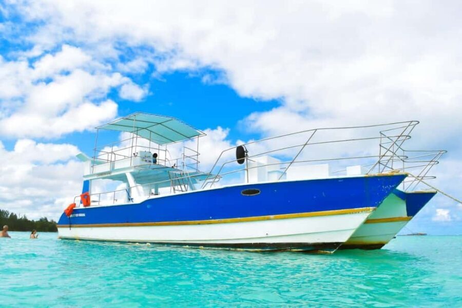 Saona Island Tour From Santo Domingo with Lunch and Pickup - Who this tour fits best