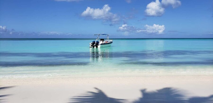 Saona Island Tour From Santo Domingo with Lunch and Pickup - Natural Pool: swimming, marine life viewing, and why that stop is worth it