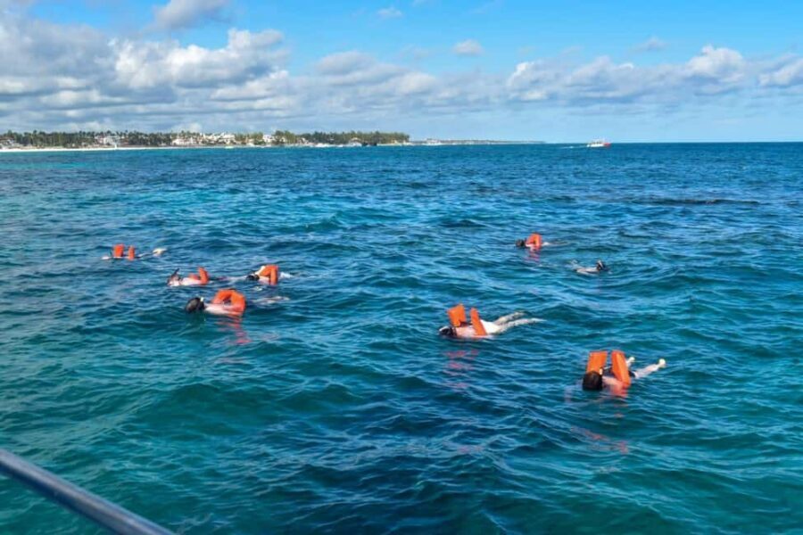 Saona Island Tour From Santo Domingo with Lunch and Pickup - Service and safety: what a smooth crew should feel like