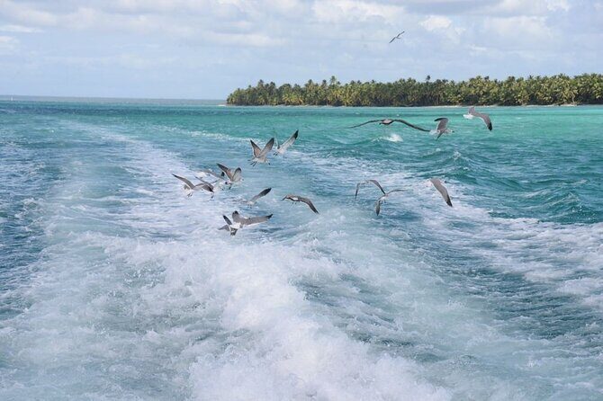 Saona, Mano Juan, Canto de la playa away from the tourist crowds - Stop 2: Mano Juan fishermen village and the turtle nursery
