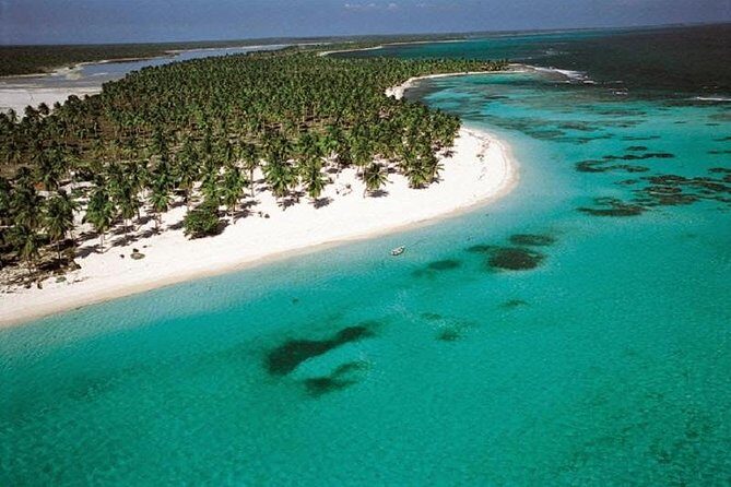 Saona Vip speedboat - Snorkeling on Saona waters: included, but not guaranteed